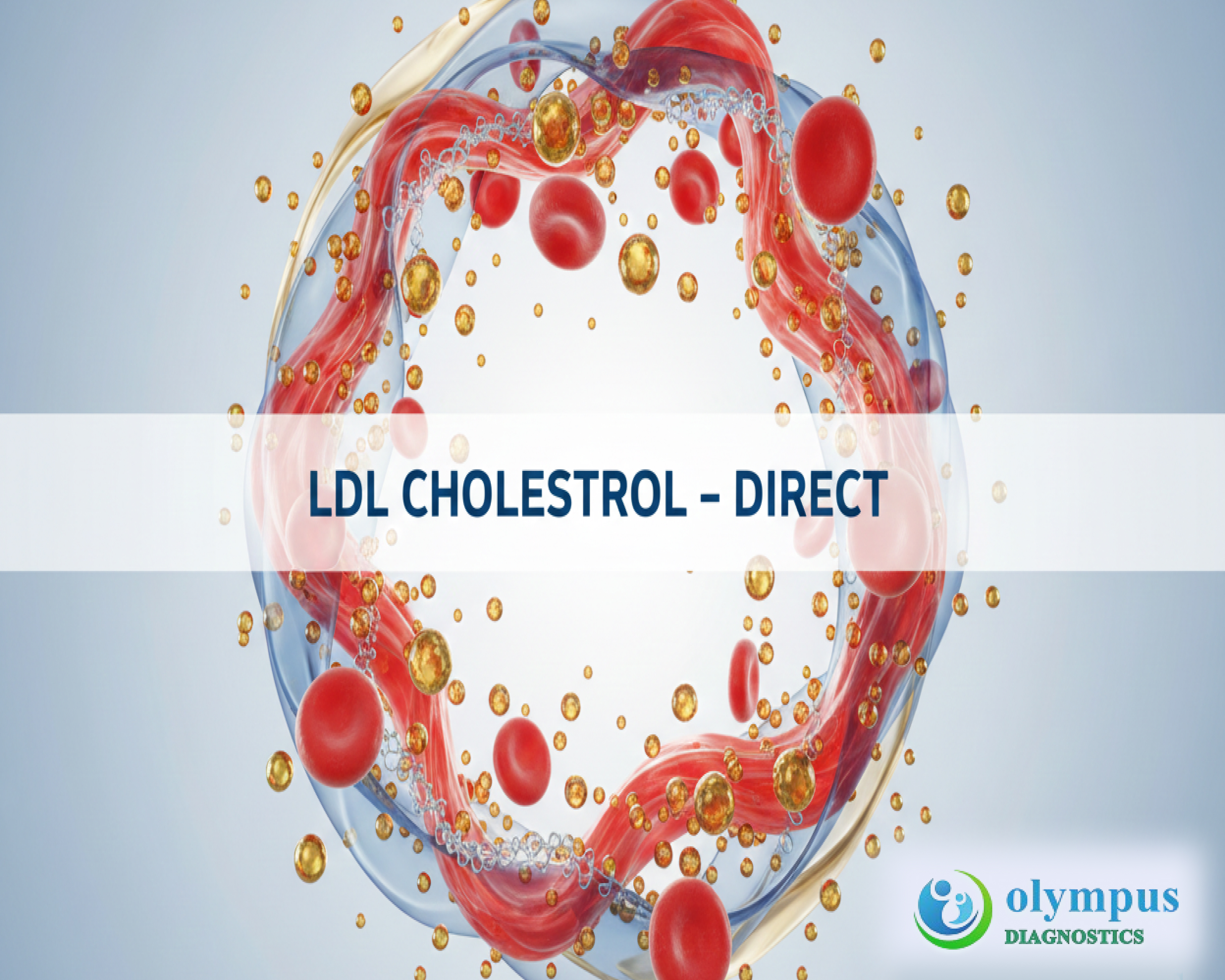 LDL CHOLESTEROL - DIRECT