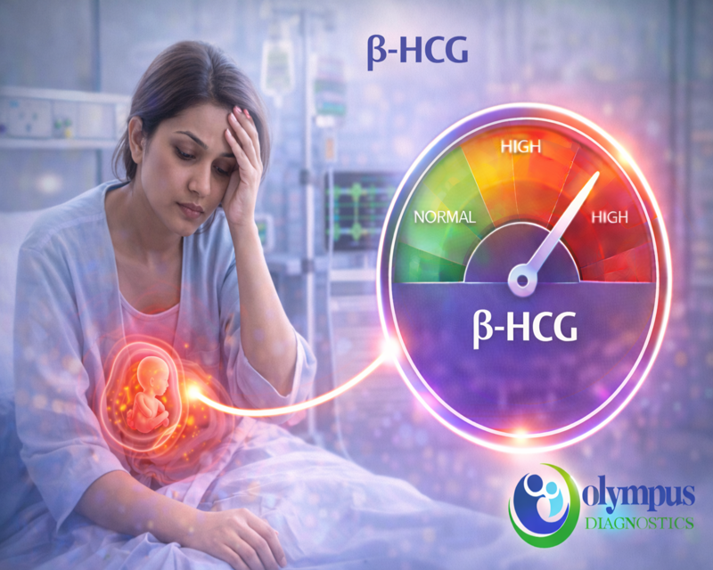 B -HCG