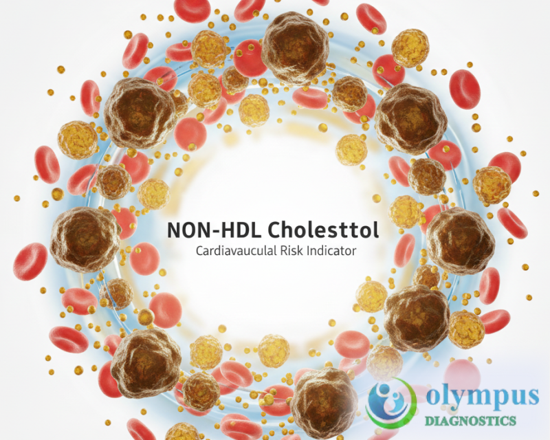 NON HDL CHOLESTEROL